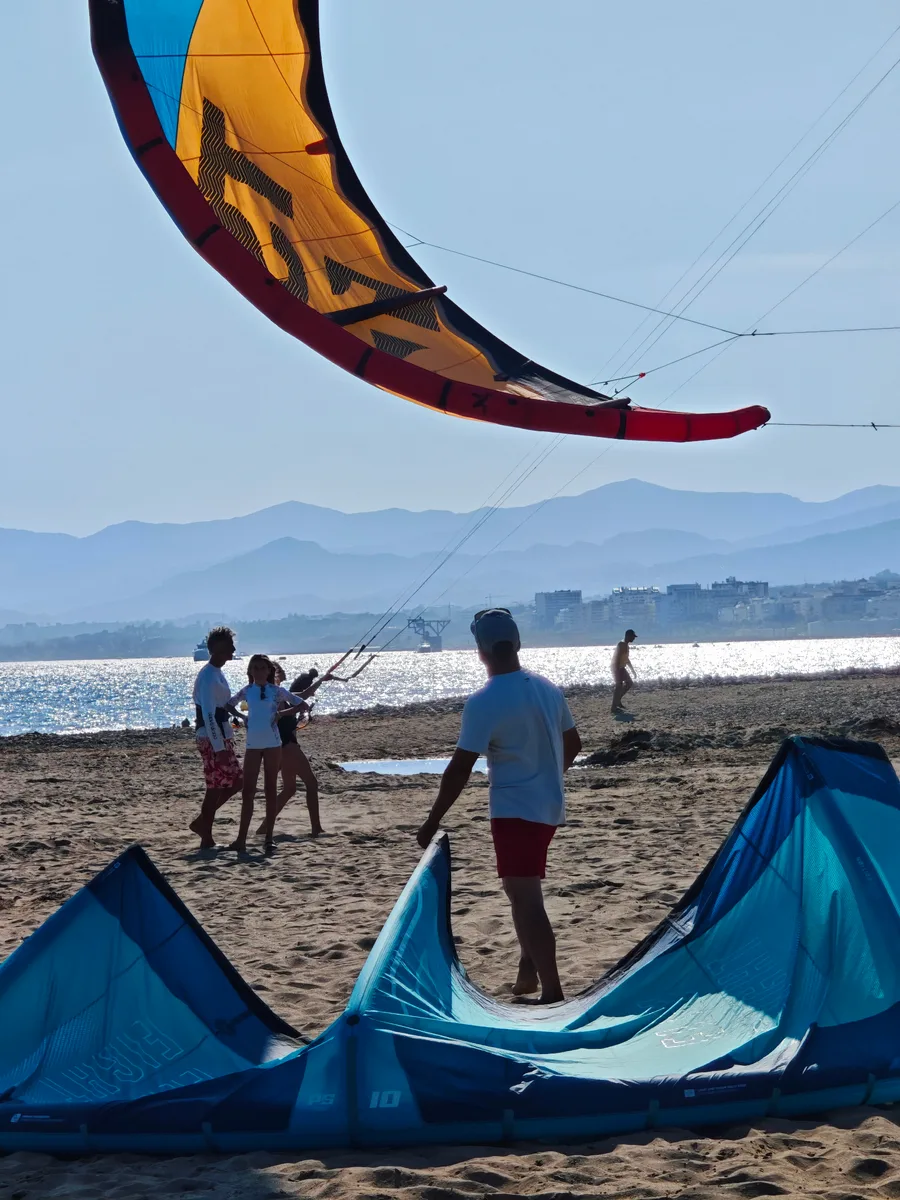 Cometa volando sobre el grupo en la playa al atardecer